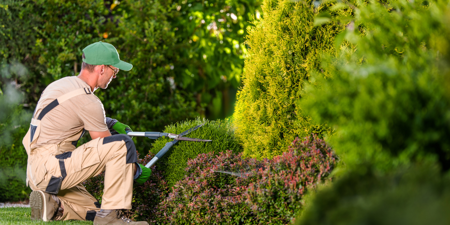 Gartenarbeit - Hecke pflegen