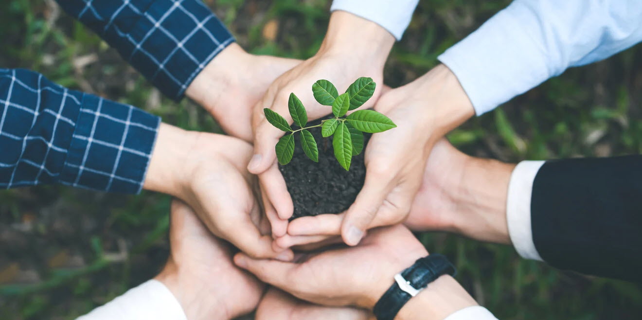 Gemeinsam die Natur und Umwelt schützen und pflegen