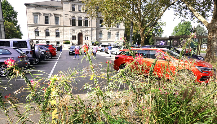 Anfahrt mit dem Auto an Schulen Zug und einfaches Parkieren