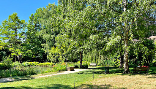 Schulen Biel: Nach dem Unterricht Auszeit im Elfenaupark nehmen