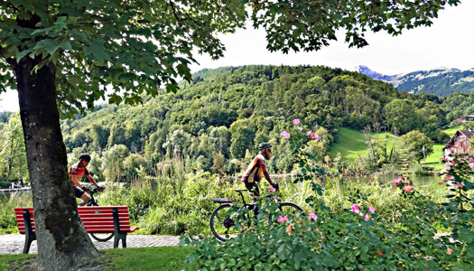 Nach dem Besuch von Schulen Buchs auf dem Fahrrad entspannen