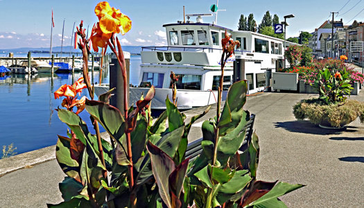 Auf dem Schiff entspannen nach dem Besuch von Schulen Rorschach