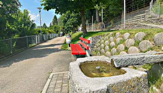 Schulen Willisau: Nach dem Unterricht beim Hirschpark entspannen