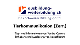 Vorschaubild des Videos «Was lernt man in einem Kurs für Tierkommunikation?»