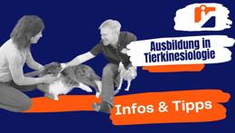 Immagine di anteprima del video «Alles was du über die Tierkinesiologie Ausbildung wissen musst!»
