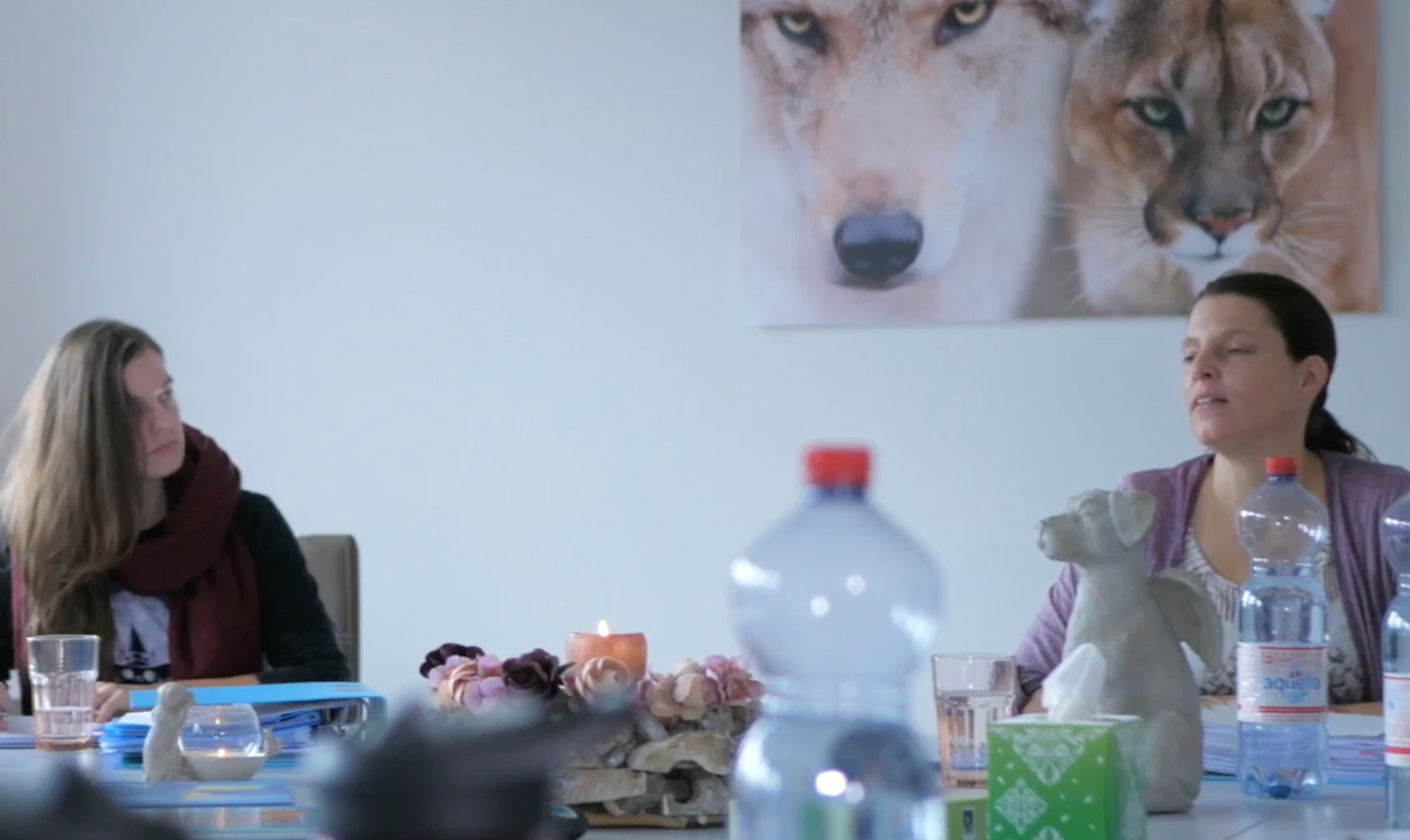 Tierkommunikation Kurs