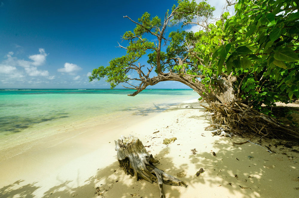 Strand im Süden Guadeloupes