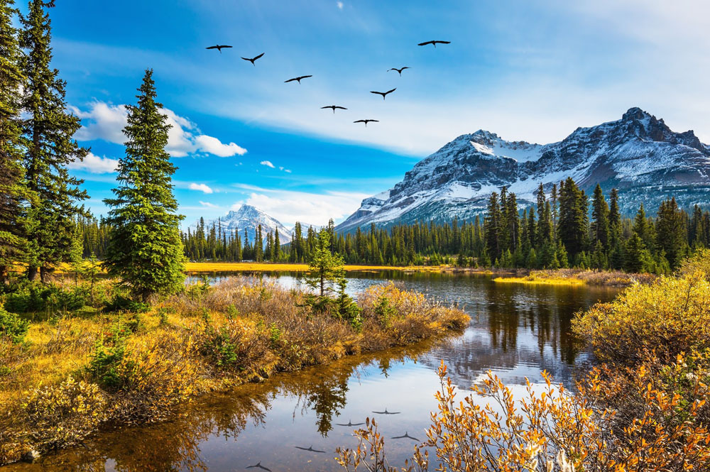 Naturpark in Kanada